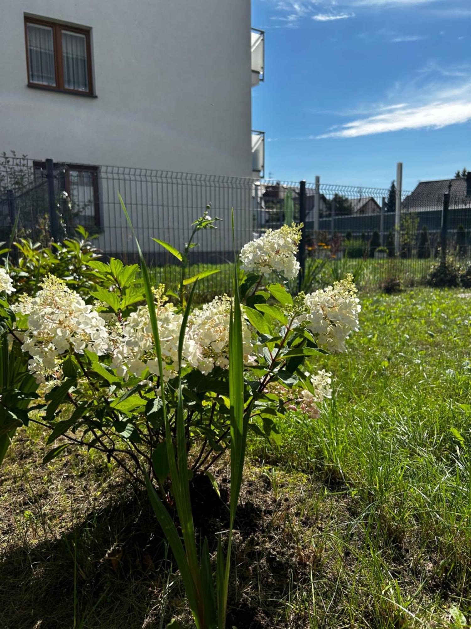 M&M Apartament Glogera Krakow Luaran gambar